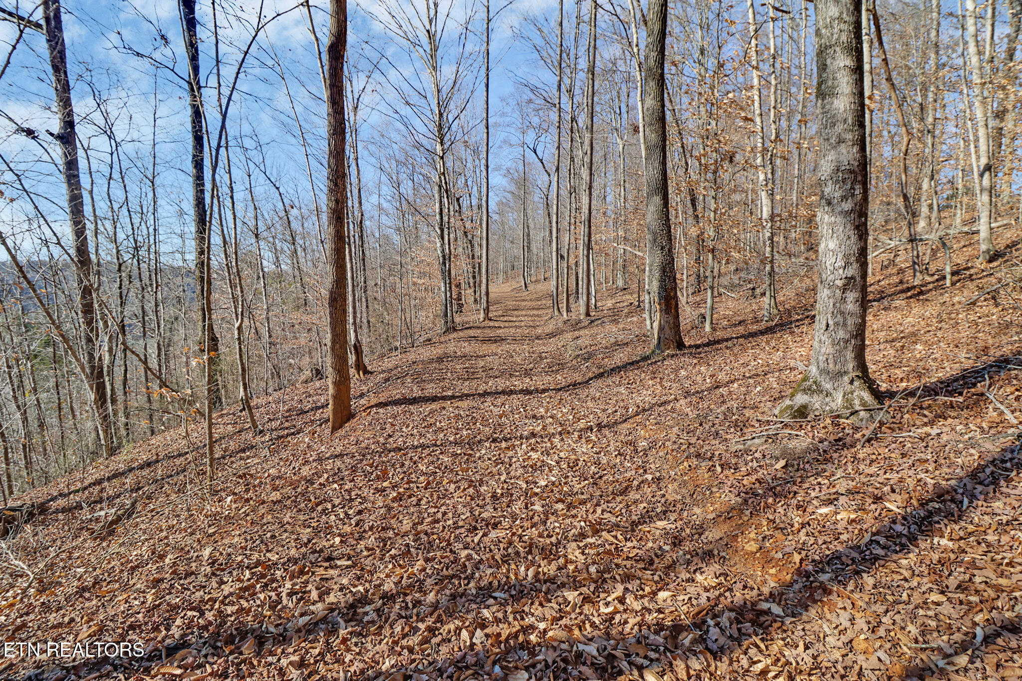50.31-acre Robbinstown Road Byrdstown, TN 38549 - Photo 34 of 60 if1a1561-if1a1565