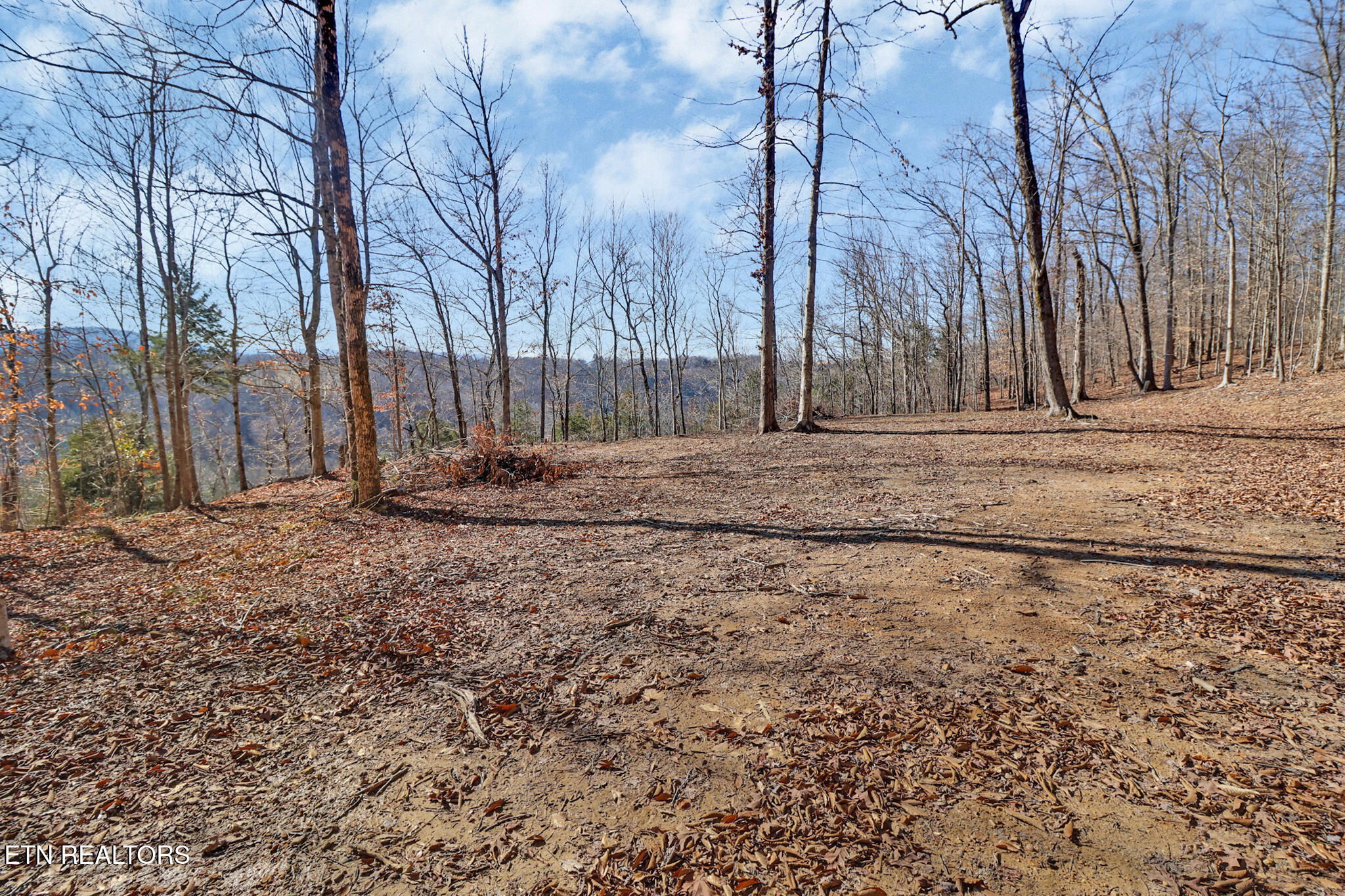 50.31-acre Robbinstown Road Byrdstown, TN 38549 - Photo 35 of 60 if1a1566-if1a1570