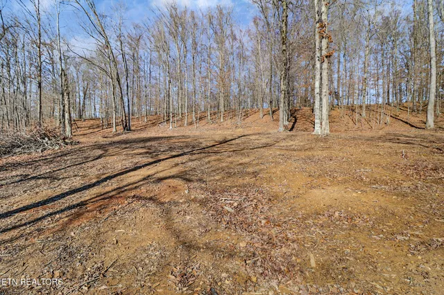 $525,000 | 50.31-acre Robbinstown Road, Byrdstown, TN 38549