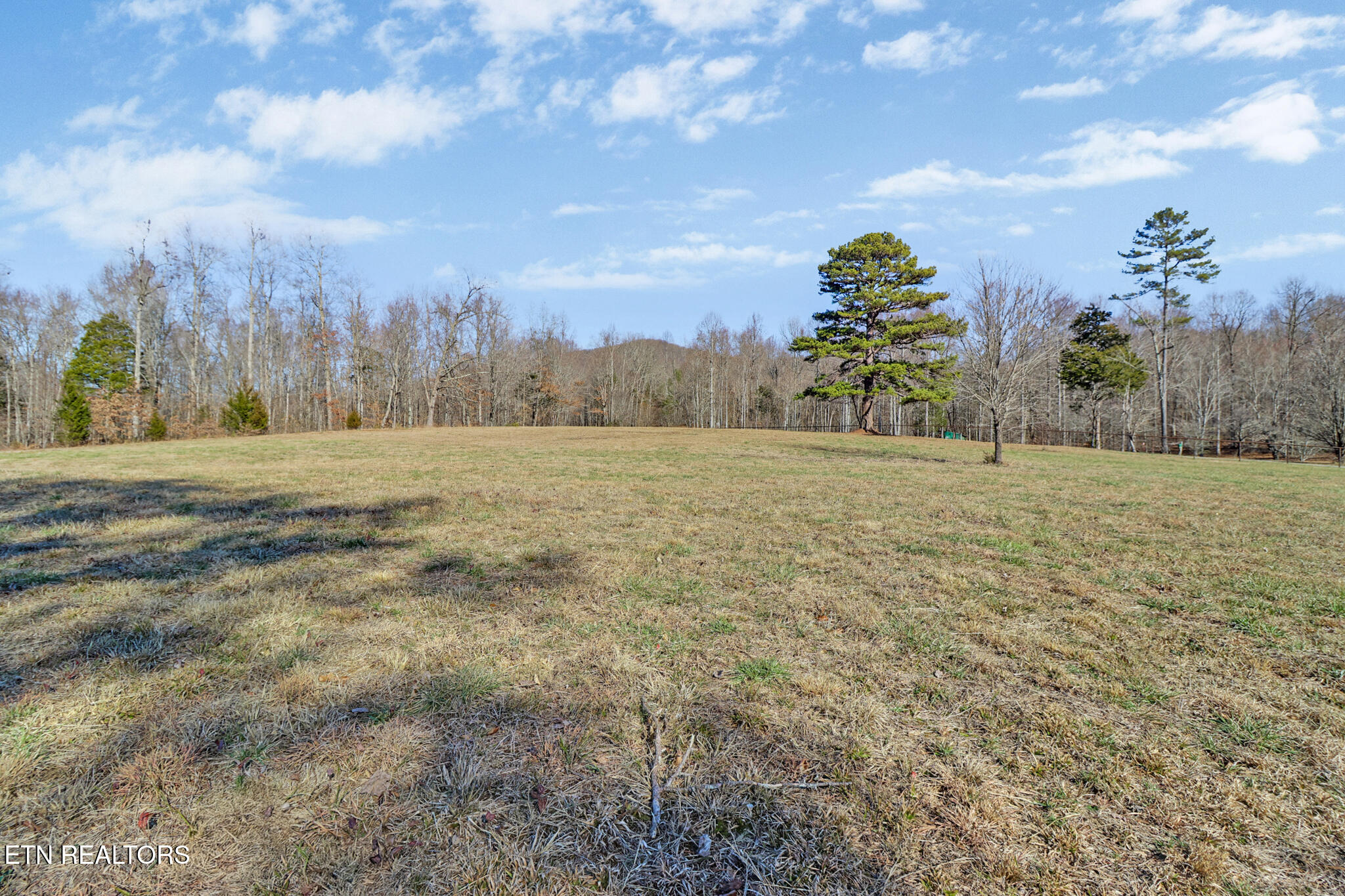 50.31-acre Robbinstown Road Byrdstown, TN 38549 - Photo 42 of 60 if1a1602-if1a1606