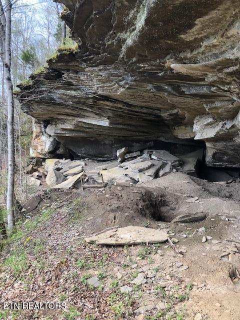 50.31-acre Robbinstown Road Byrdstown, TN 38549 - Photo 55 of 60 IMG_0559