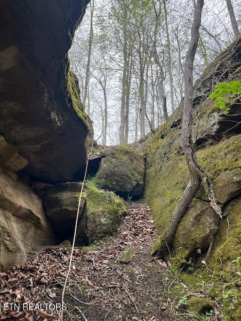 50.31-acre Robbinstown Road Byrdstown, TN 38549 - Photo 56 of 60 IMG_0562