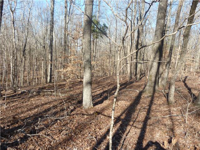 1295 Hortense Road Dickson, TN 37055 - Photo 5 of 11 Gallery Image 5