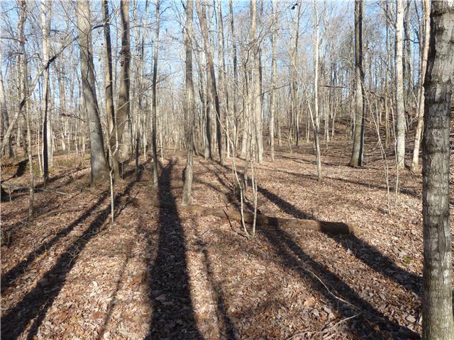 1295 Hortense Road Dickson, TN 37055 - Photo 8 of 11 Gallery Image 8