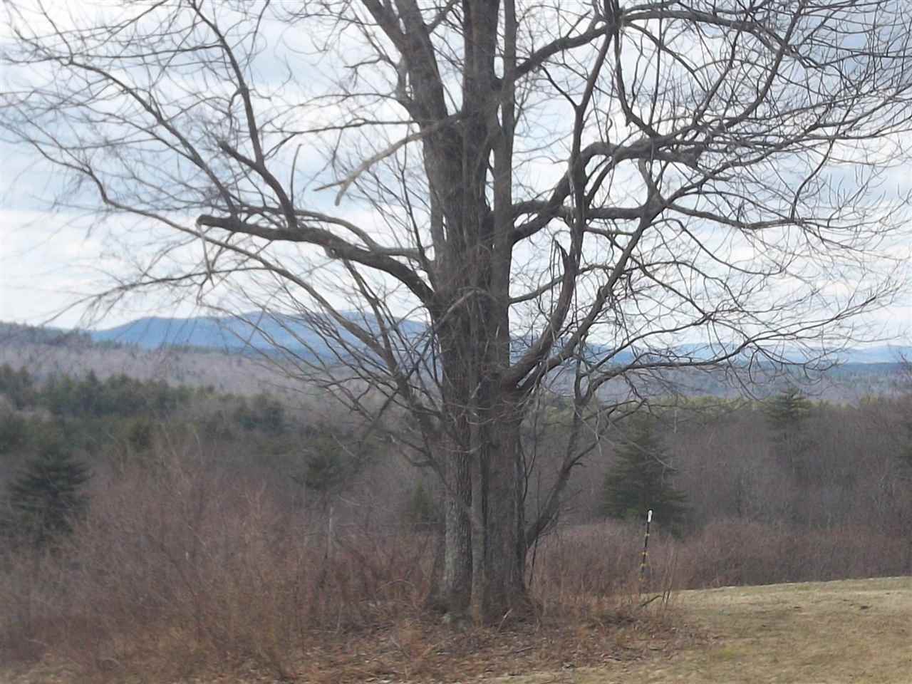 48 Pearson Hill Road Webster, NH 03303 - Photo 26 of 29 Gallery Image 26
