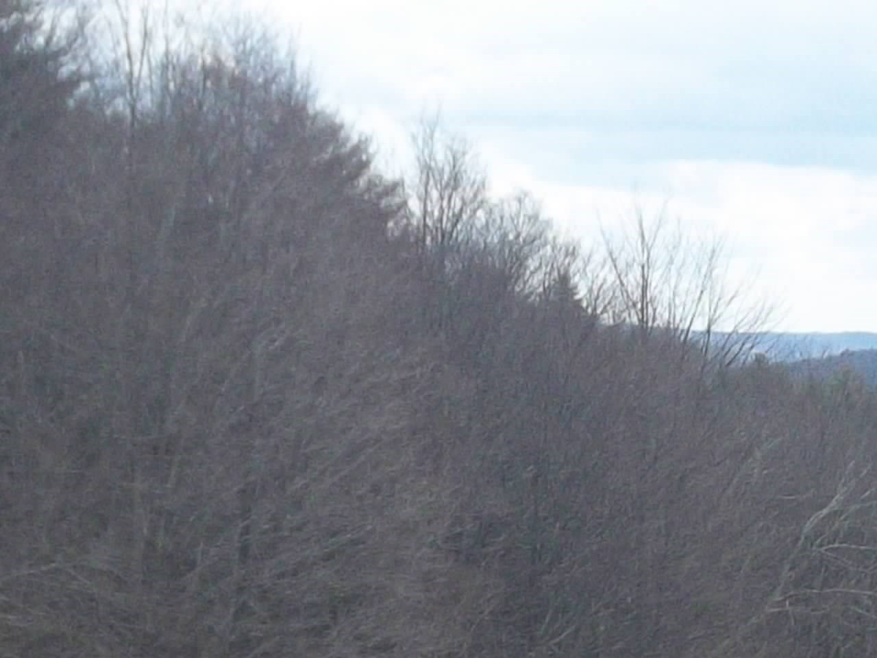 48 Pearson Hill Road Webster, NH 03303 - Photo 28 of 29 Gallery Image 28