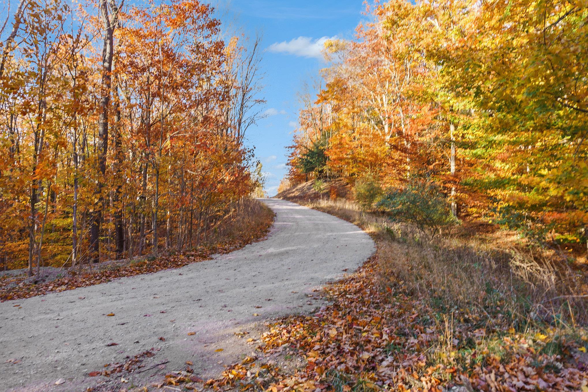 0 Treetops Lane Frankfort, MI 49635 - Photo 2 of 16