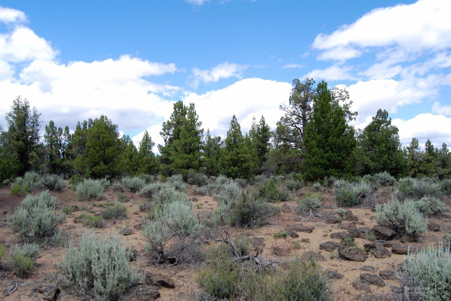 61430 Gribbling Road Bend, OR 97702 - Photo 11 of 14 Additional Photo