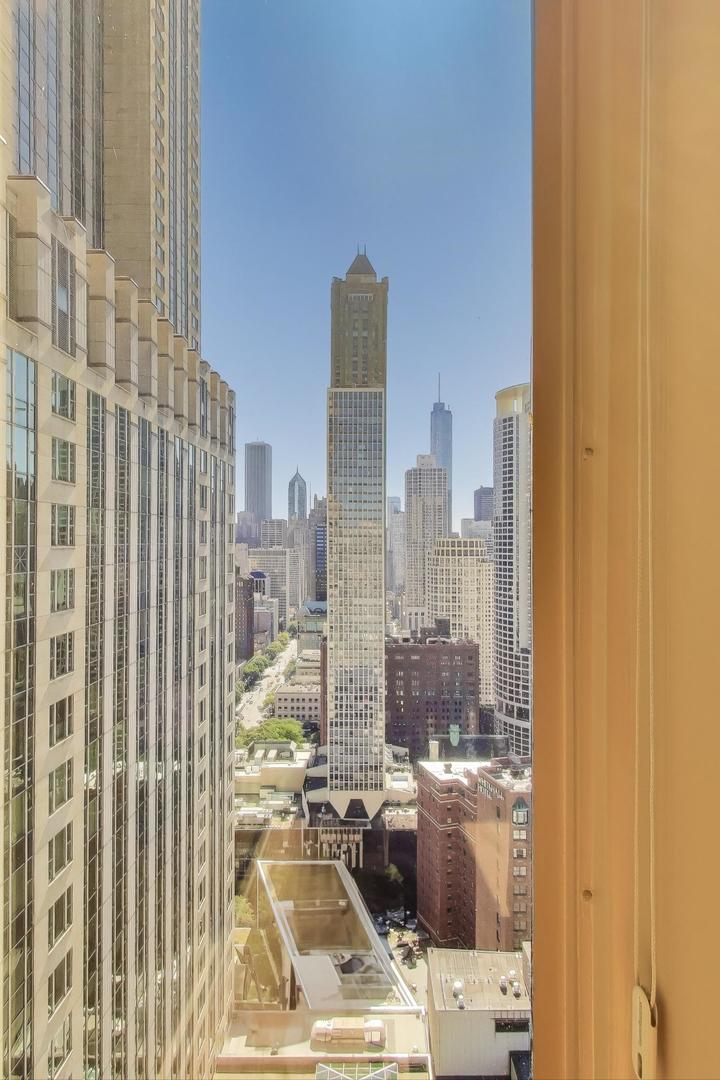 100 East Walton Street, Unit 42F Chicago, IL 60611 - Photo 19 of 50 a view of a city from a balcony