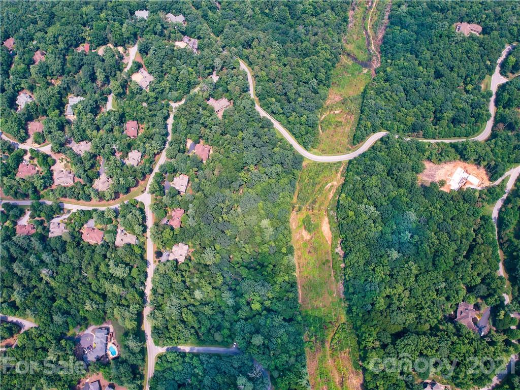 6 Dividing Ridge Trail Arden, NC 28704 - Photo 4 of 20 Gallery Image 4