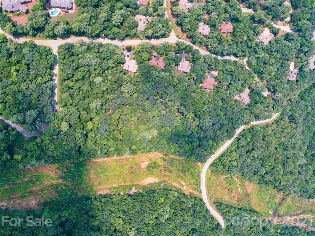 6 Dividing Ridge Trail Arden, NC 28704 - Photo 6 of 20 Gallery Image 6