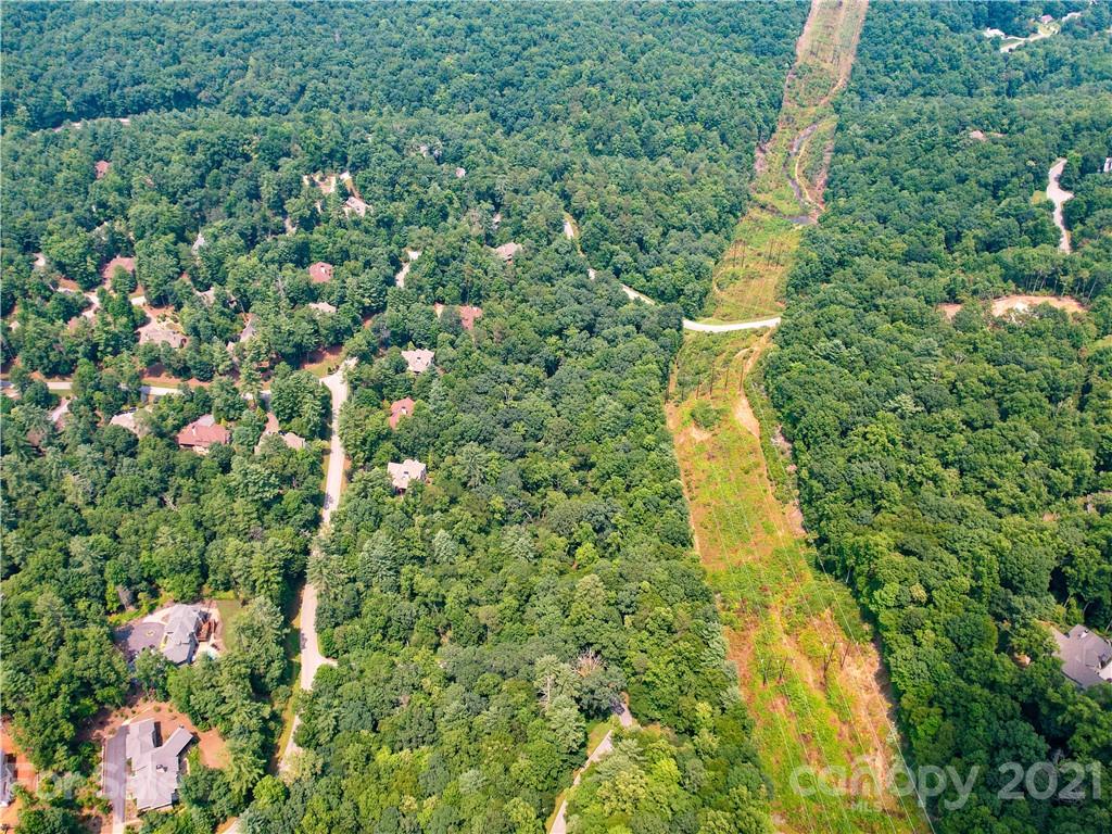 6 Dividing Ridge Trail Arden, NC 28704 - Photo 8 of 20 Gallery Image 8