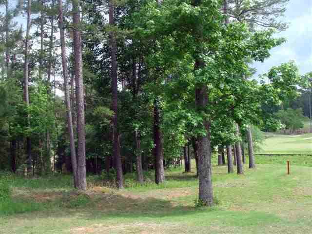 8-32 Hickory Point McCormick, SC 29835 - Photo 6 of 25 Gallery Image 6