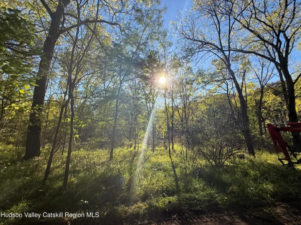 $159,000 | Tbd Tbd Country Club Road, Ellenville, NY 12428