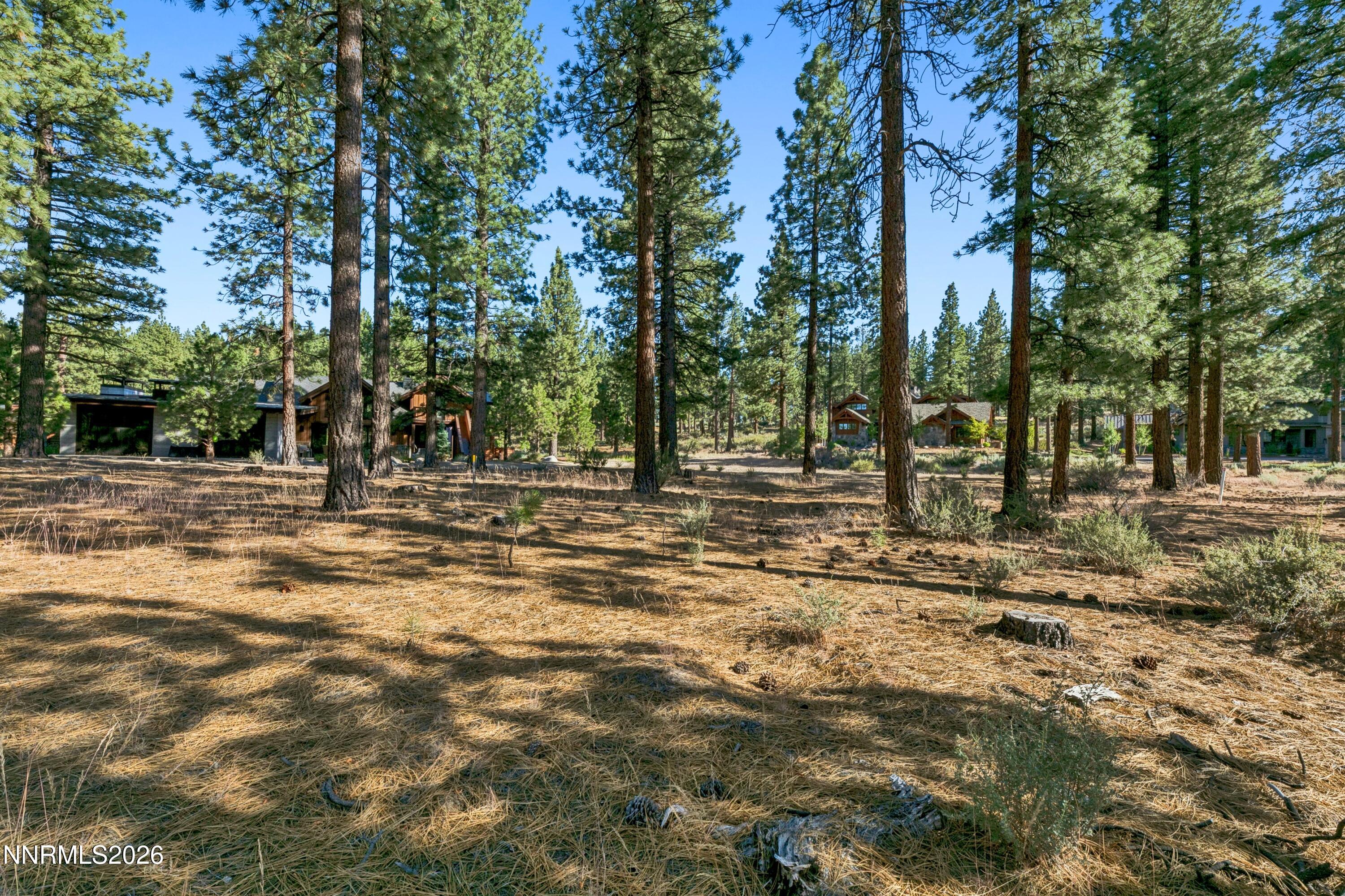 238 Redding Way Carson City, NV 89705 - Photo 5 of 24 a20