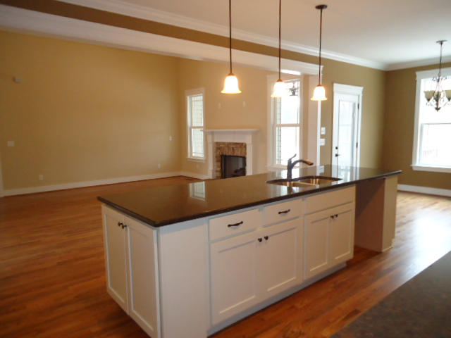 1056 Little Sorrel Road, Unit 495 Hixson, TN 37343 - Photo 8 of 36 DSC03993