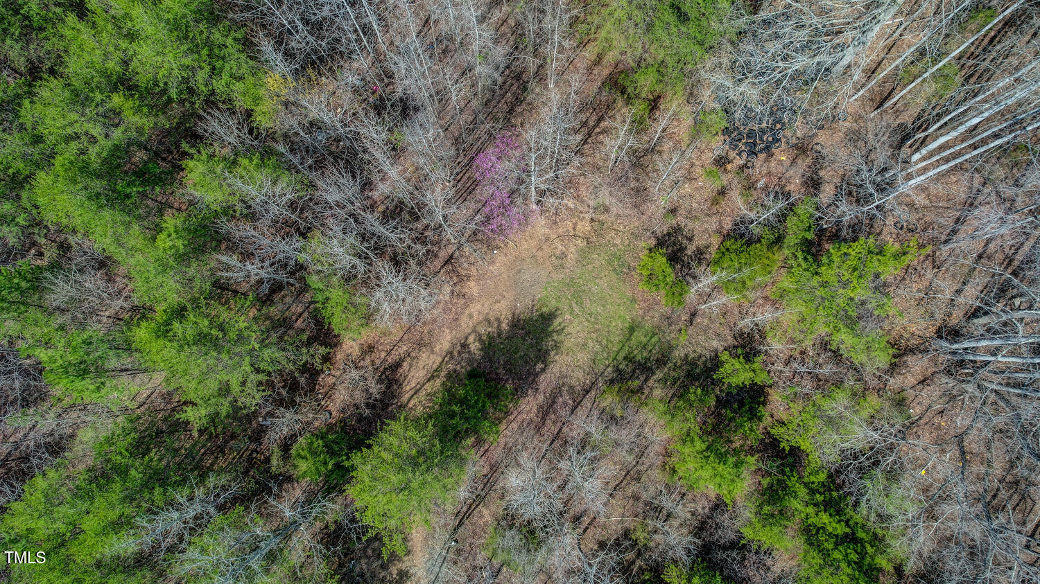 6712 Blanch Road Blanch, NC 27212 - Photo 16 of 21 6712 Blanch Road Blanch NC-large-016-004
