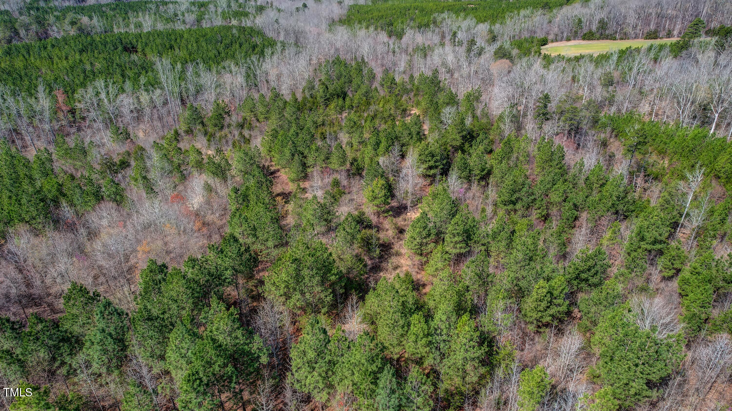 6712 Blanch Road Blanch, NC 27212 - Photo 19 of 21 6712 Blanch Road Blanch NC-large-019-014