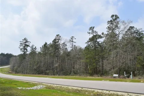 a view of a middle in a forest