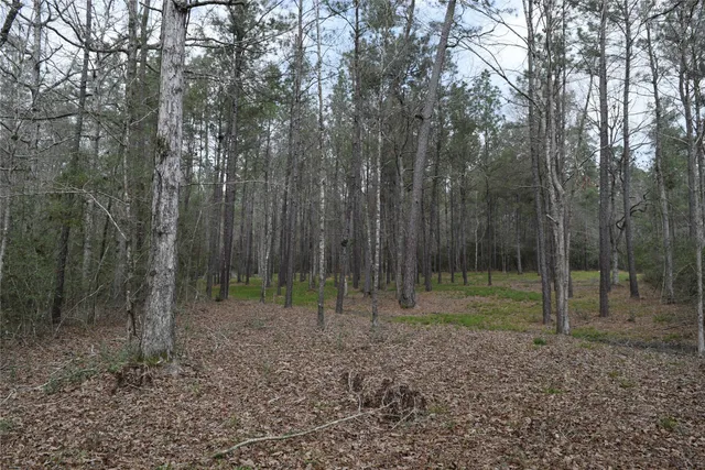 a backyard of a house with trees