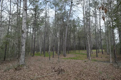 a backyard of a house with lots of trees