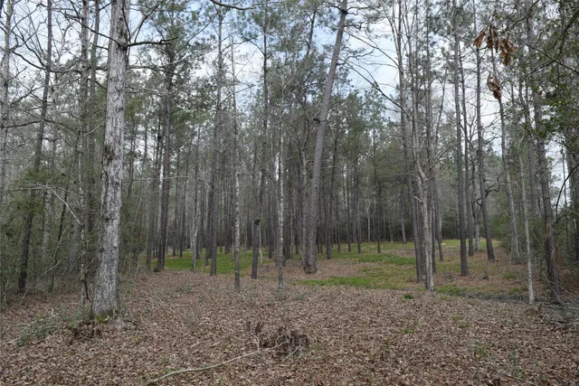 a backyard of a house with lots of trees