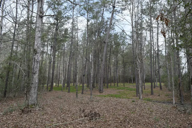 a view of a road with a wrought fence