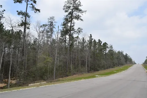 a view of a forest with trees in the background