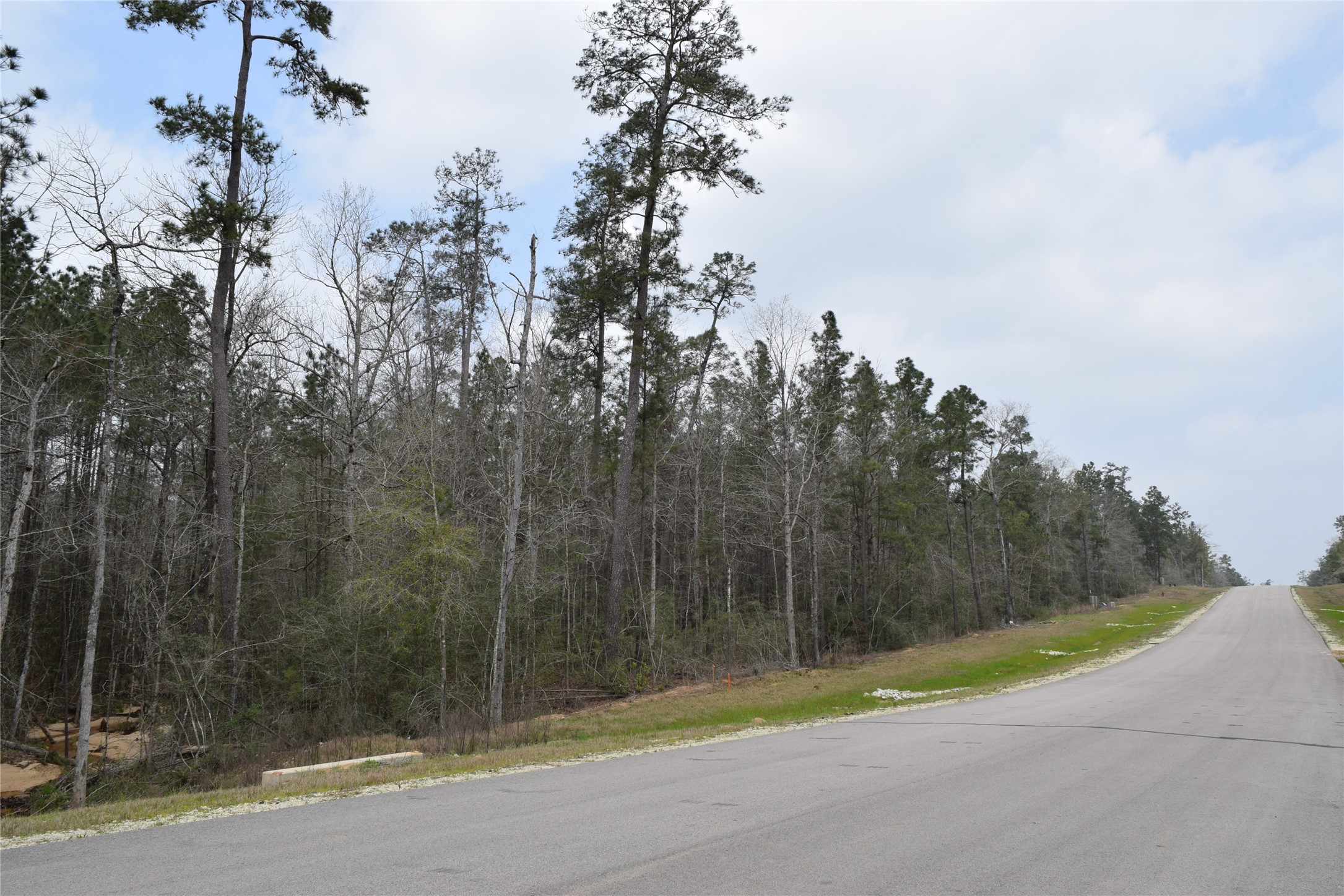 309 Exploration Road New Waverly, TX 77358 - Photo 18 of 30 a view of a road with a wrought fence