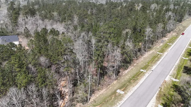 a view of a covered with trees