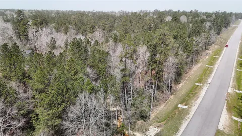 a view of a forest with lots of trees