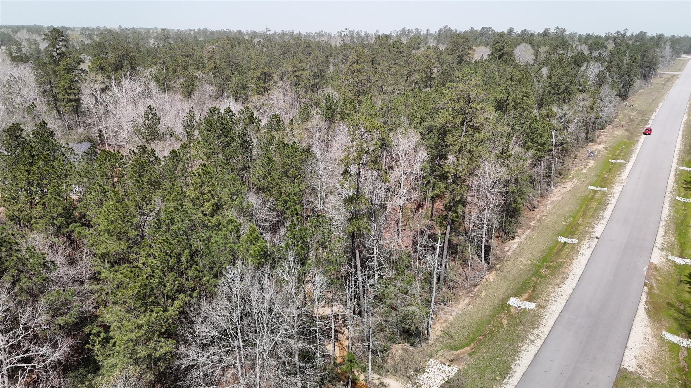 309 Exploration Road New Waverly, TX 77358 - Photo 20 of 30 a view of a forest from a window