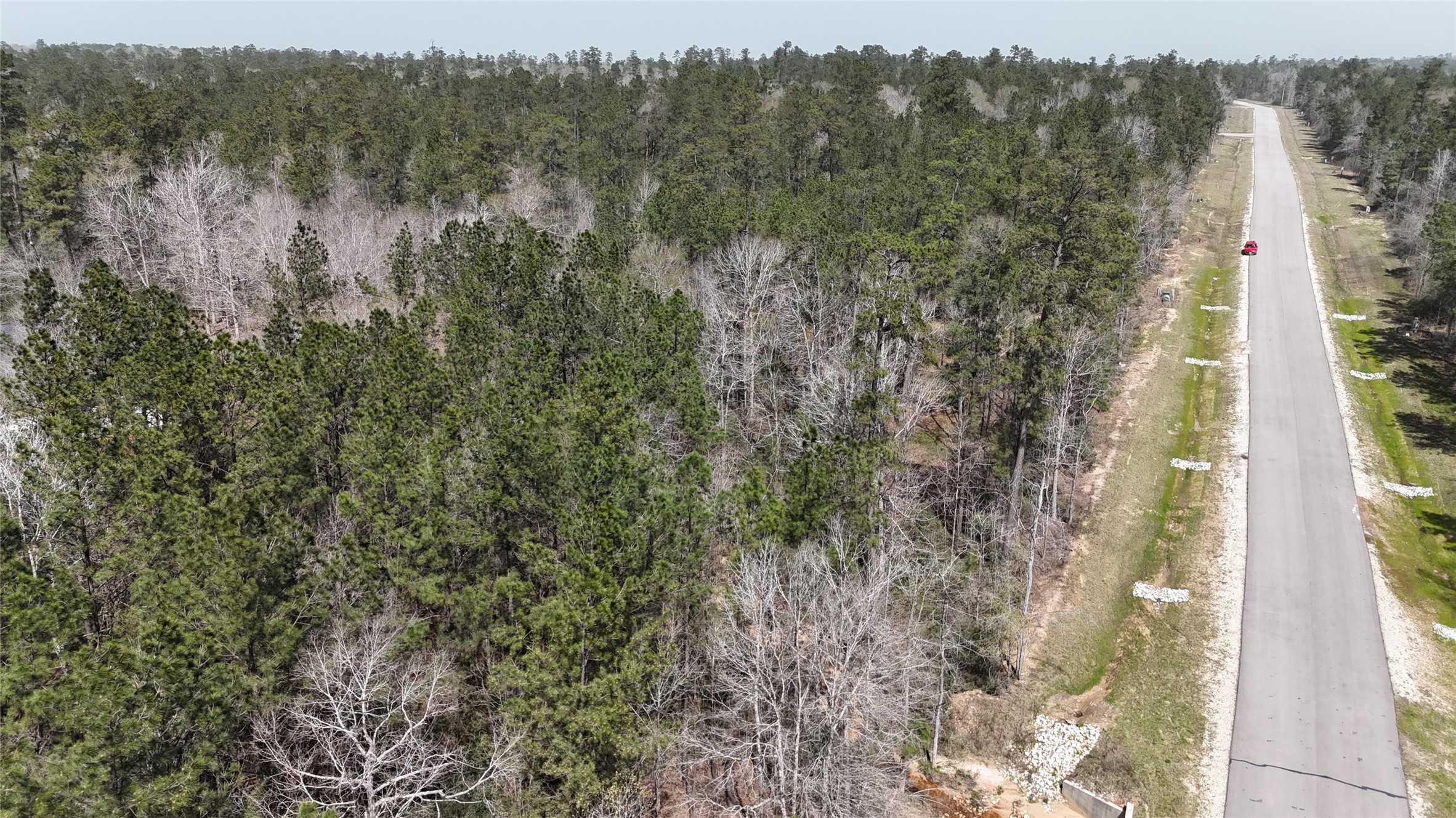 309 Exploration Road New Waverly, TX 77358 - Photo 21 of 30 a view of a forest with trees in the background