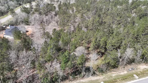 a view of a forest with trees