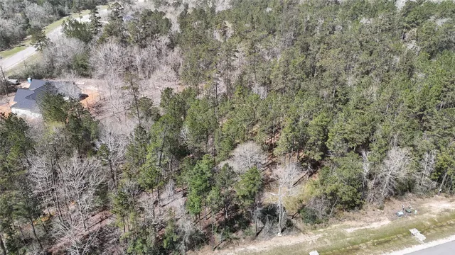a view of a forest with trees