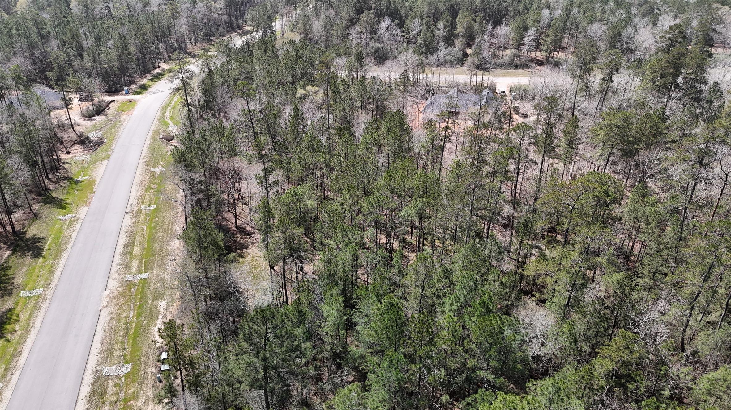 309 Exploration Road New Waverly, TX 77358 - Photo 24 of 30 a close up of a plant