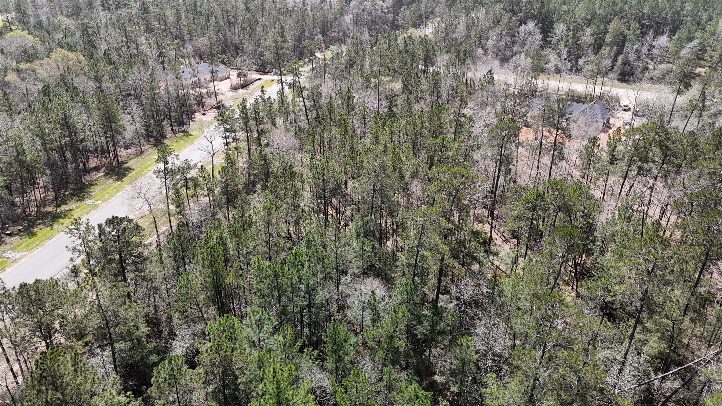 309 Exploration Road New Waverly, TX 77358 - Photo 25 of 30 a view of forest