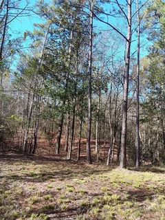 $125,000 | 309 Exploration Road, New Waverly, TX 77358