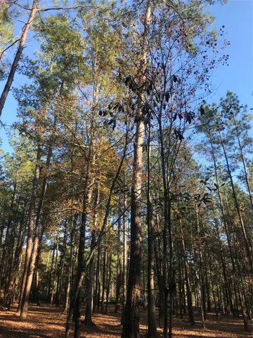 $125,000 | 309 Exploration Road, New Waverly, TX 77358