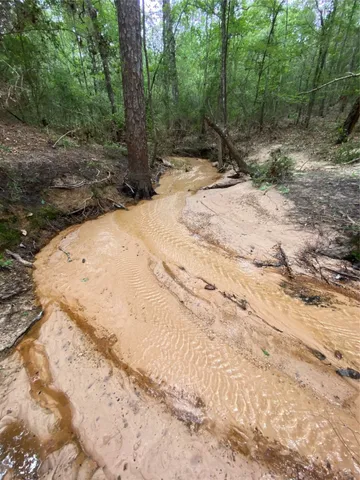 a view of a backyard of a house