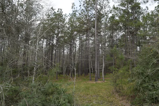 a close up of a street