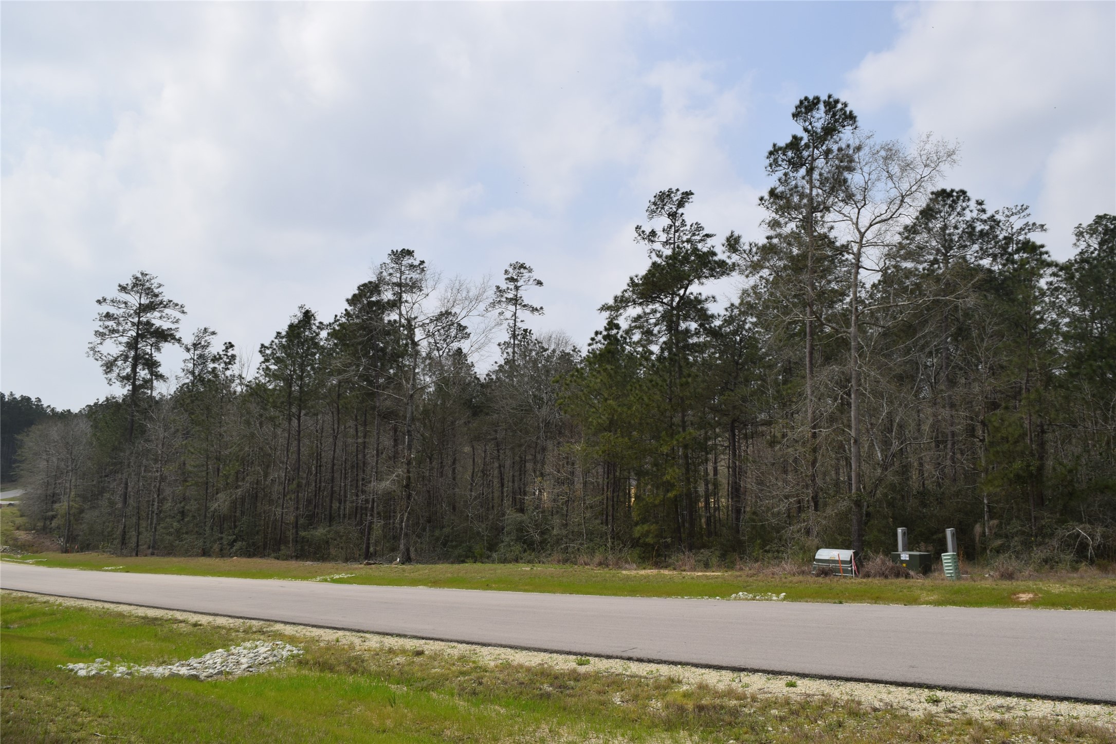 309 Exploration Road New Waverly, TX 77358 - Photo 7 of 30 a view of a yard with large trees