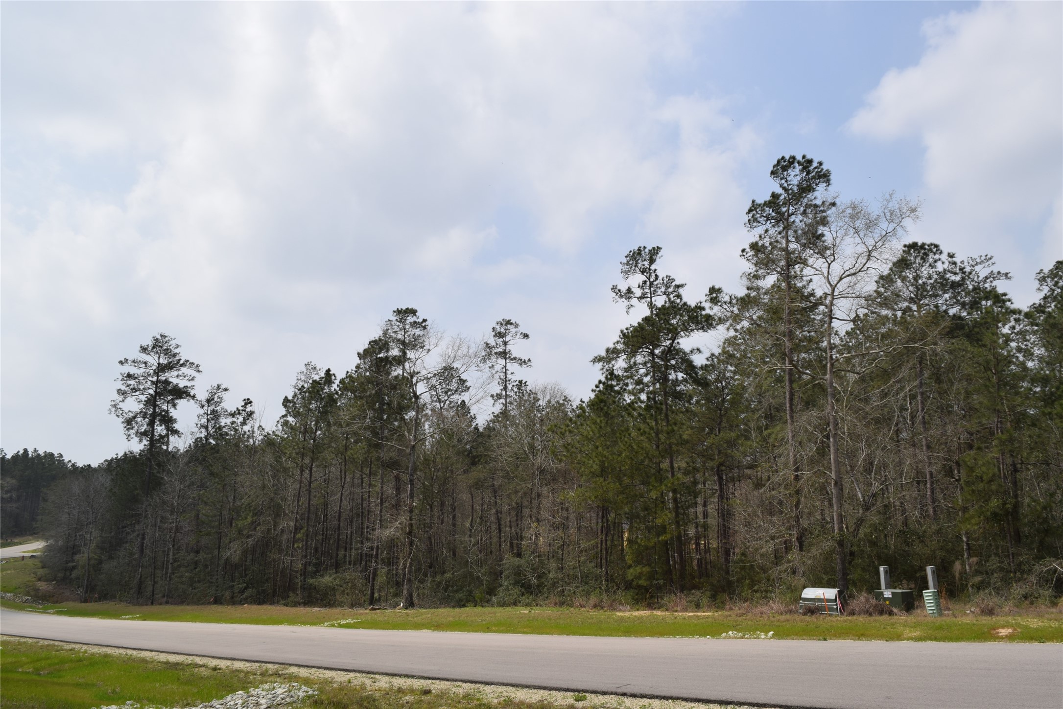 309 Exploration Road New Waverly, TX 77358 - Photo 8 of 30 a view of a yard in front of a house