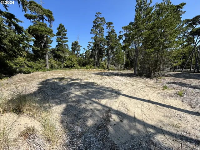 a view of a yard with trees