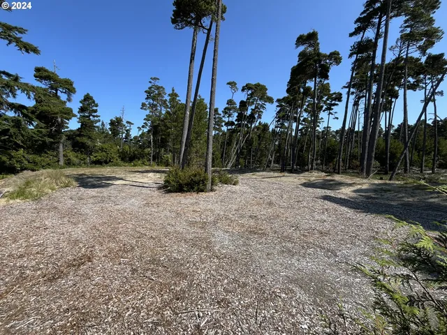 a view of outdoor space with palm trees