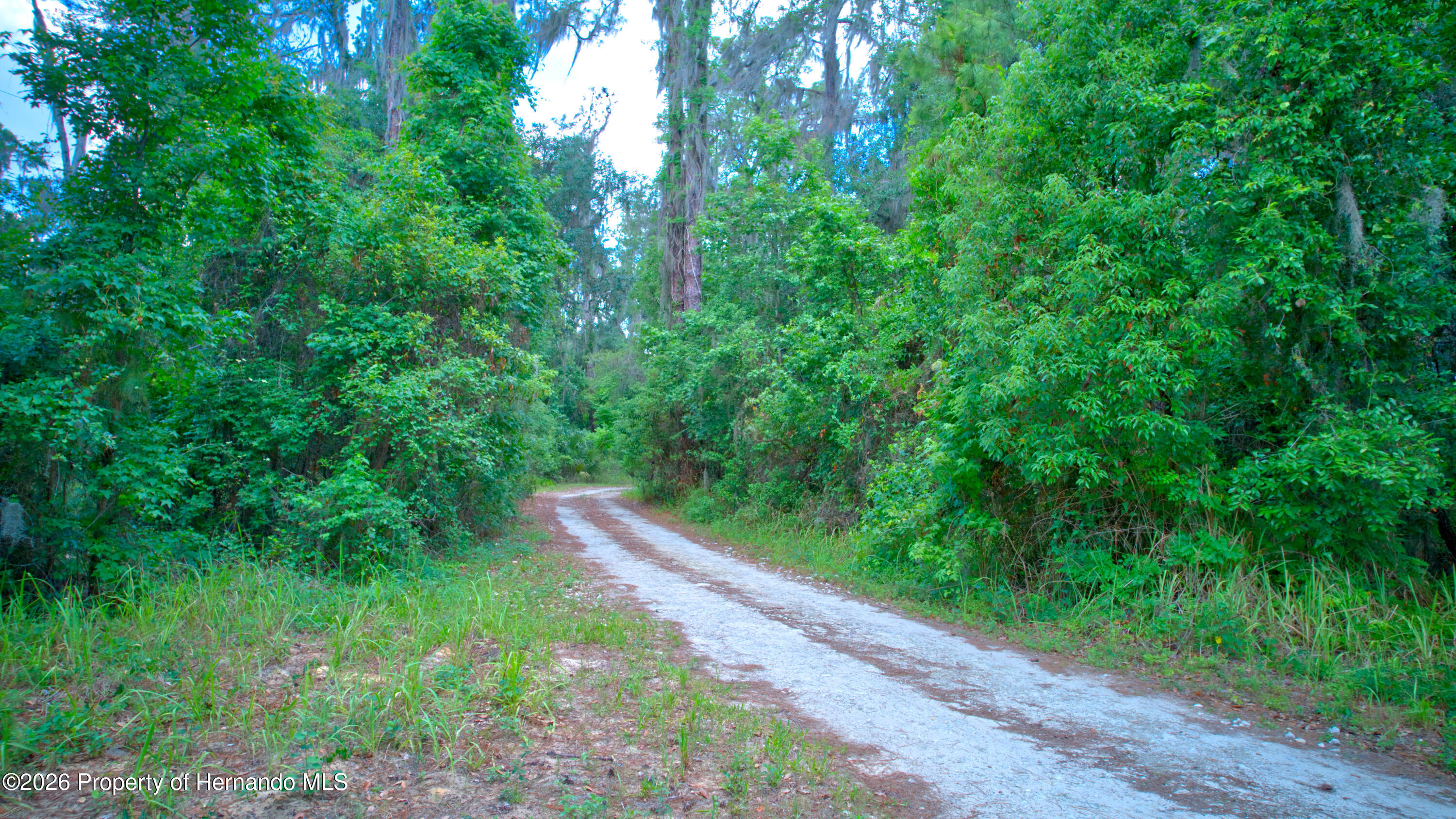 3267 Neff Lk Road Brooksville, FL 34602 - Photo 52 of 82