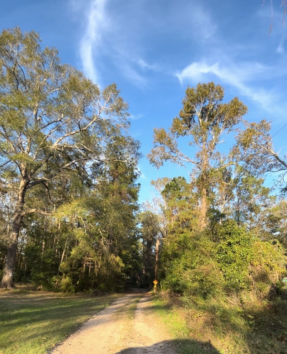 3430 Hardin Holly Road Porter, TX 77365 - Photo 4 of 5 a view of lake view