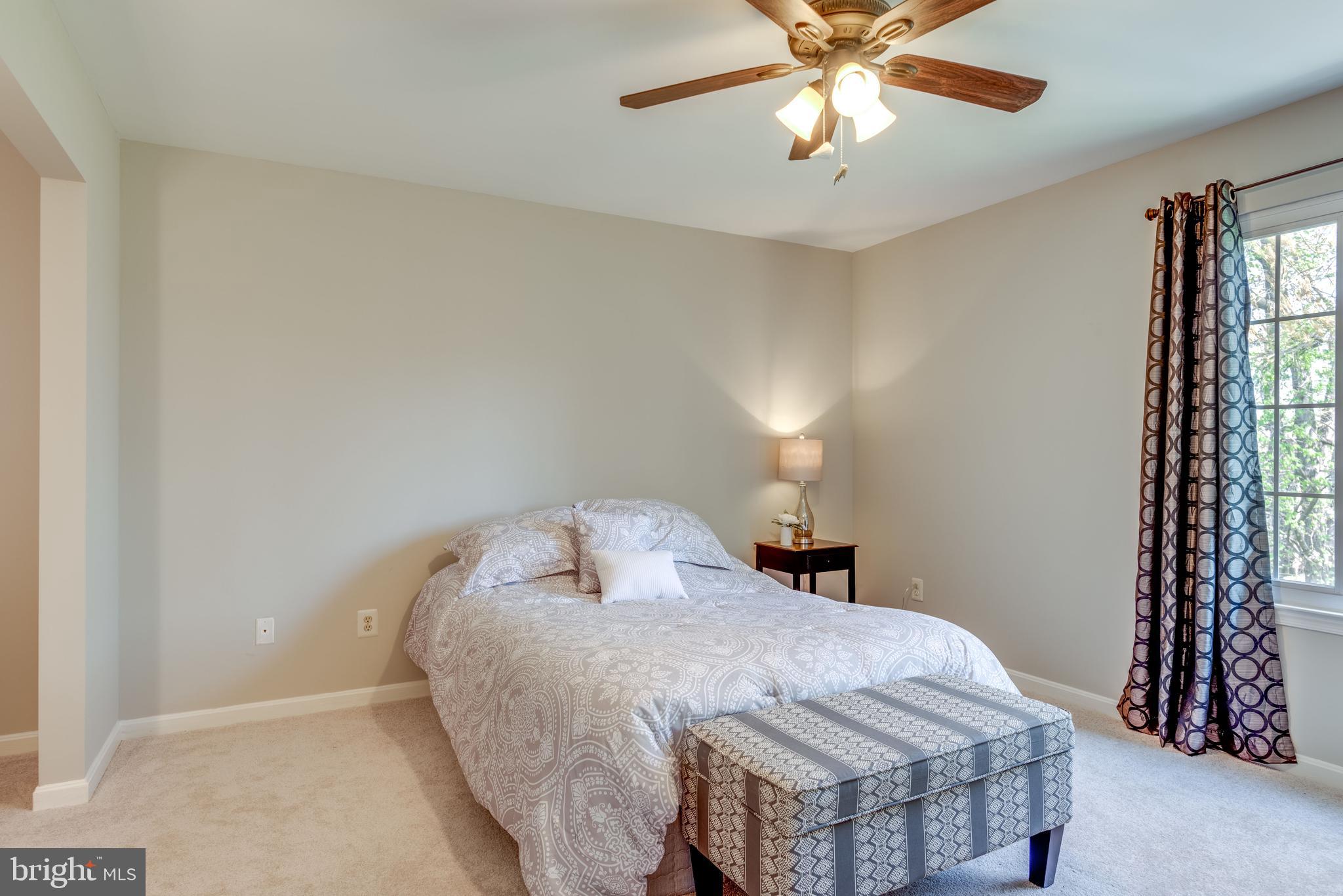 333 Silver Ridge Drive Sterling, VA 20164 - Photo 22 of 51 Ceiling Fan, New Carpet and New Paint in Master BR