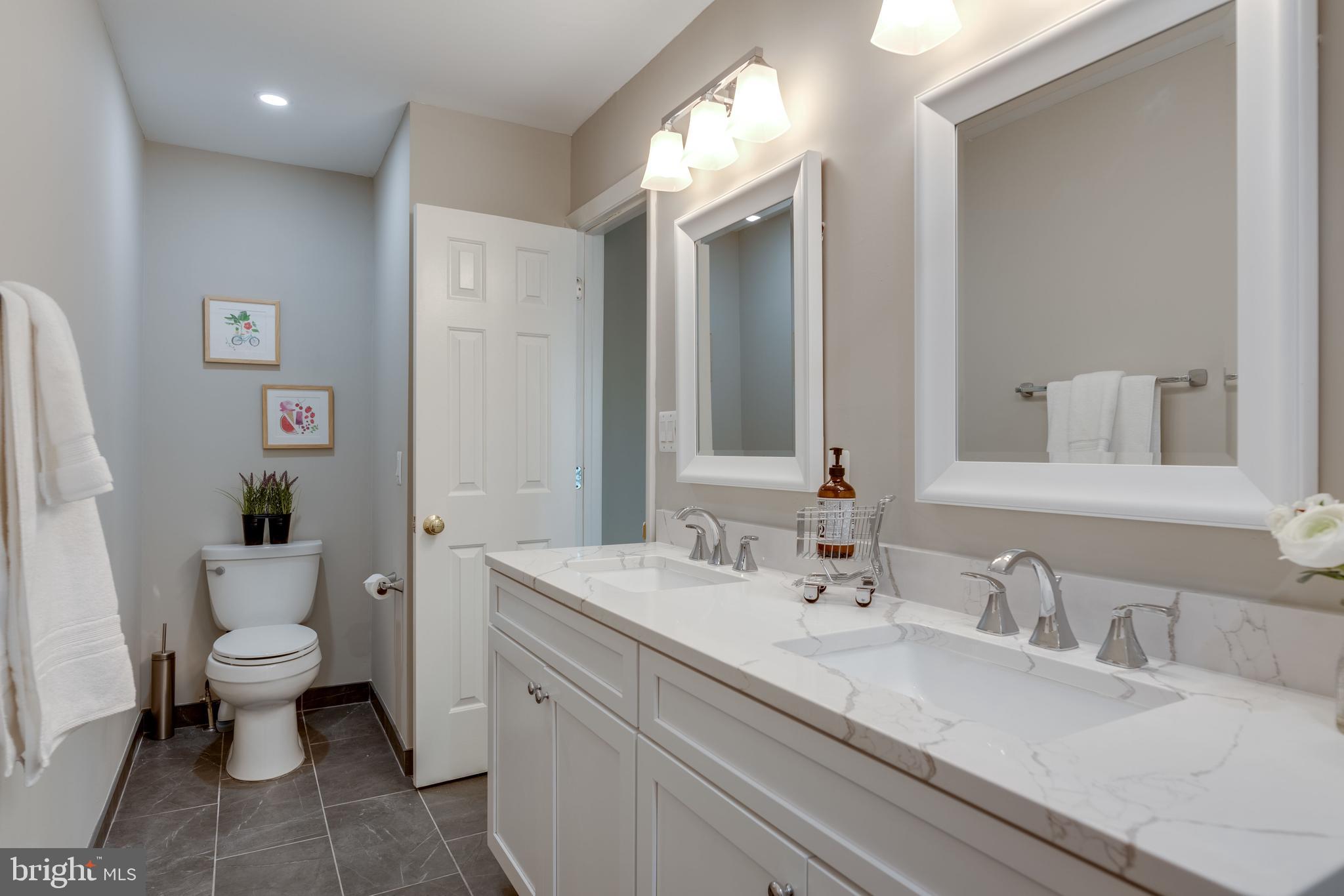 333 Silver Ridge Drive Sterling, VA 20164 - Photo 25 of 51 Expanded and Fully Renovated Lux Master Bath