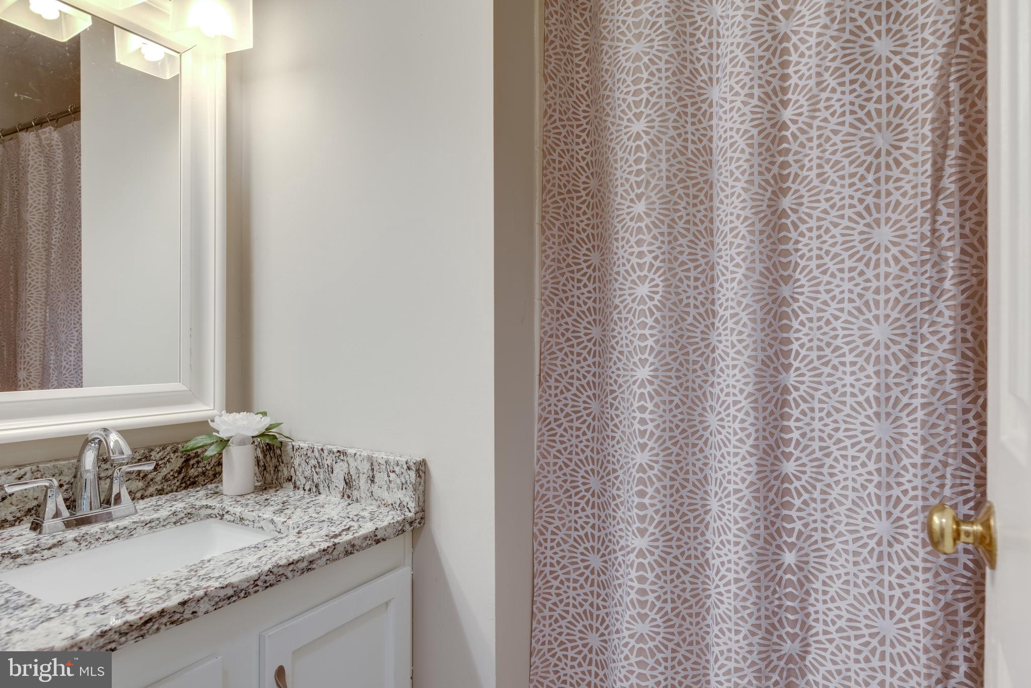 333 Silver Ridge Drive Sterling, VA 20164 - Photo 34 of 51 Updated Hall Bath w/ LVP Flr, Granite, TOTO Toilet